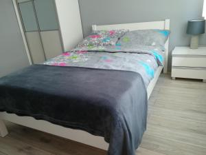 Apartamenty i Pokoje Biala Hortensja