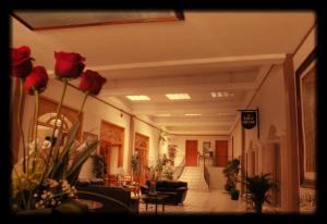 Hotel Condesa