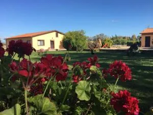 Agriturismo Sechi - Torre sa Crucca