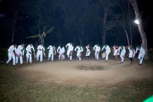 Temple Tiger Green Jungle Resort