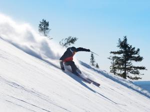 Stötens Stugor & Lägenheter