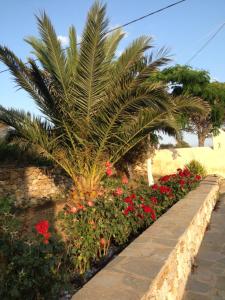 The pigeon House Kythira Greece