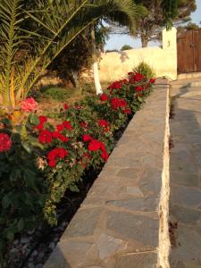 The Stone House Kythira Greece