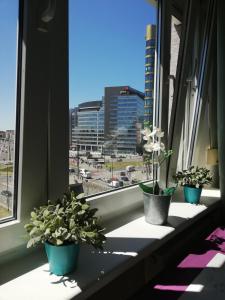 Słoneczny Apartament Polna 30 - Centrum