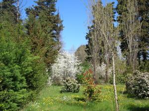 B&B / Chambres d'hotes Le Mas De La Cigale Bleue, Caumont Sur Durance : photos des chambres