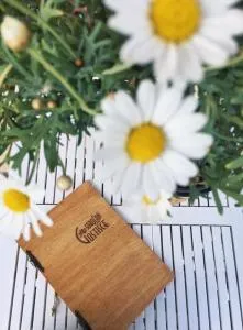 Gostisce Sobocan - Kamnica