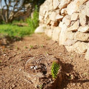 Villa Sprafundu img30