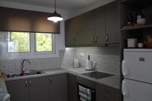 iliana's seaside maisonette Spetses Greece