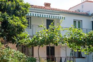 Apartment and Studio Tereza