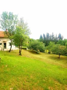 Casa del Bambi