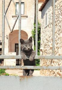 Agriturismo Villa Flavia