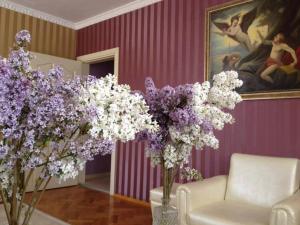 Nikolaev Lux Apartment