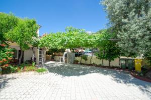 Apartments Two Olive Trees