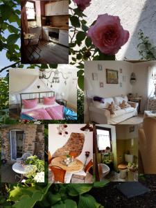 Hytte Lasserg-Cottage Münstermaifeld Tyskland