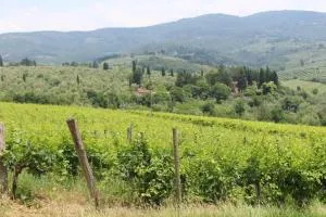 La Cascianella - Capannuccia