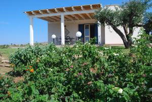Villa Volare