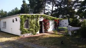 Ferienhäuschen - Born