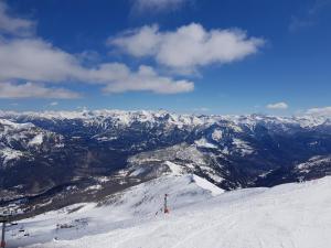 Appartements Studio Val Gardena 1 : photos des chambres