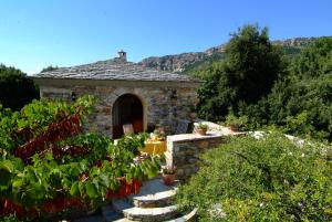 Maisons de vacances Casa-Albina-Corsica : photos des chambres