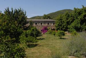 Maisons de vacances Casa-Albina-Corsica : Cottage 1 Chambre Confort