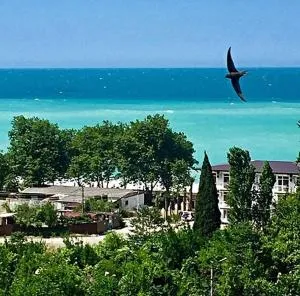 Apartment on Abazgaa 51 - Picunda