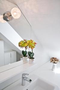 Apartments Hiša Pod Gradom