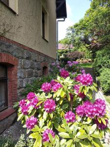 Apartamenty Villa Akant