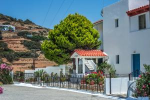 Villa Eleonora Andros Greece