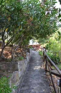 Guesthouse Apanemia Pelion Greece