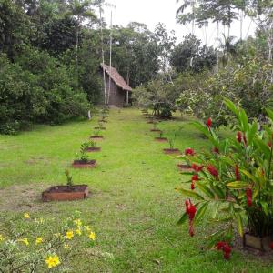 La Arenosa Lodge Tanimboca