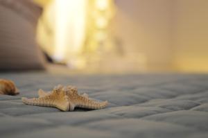 Stella Maris suite relax