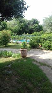 Appartements Cap au Sud Sweet home : photos des chambres