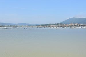 Bidassoan photo 18