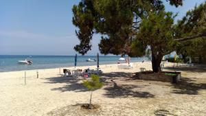 For Nature Lovers Thassos Greece