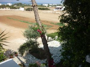 Manolis Farm Guest House Naxos Greece