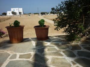 Manolis Farm Guest House Naxos Greece
