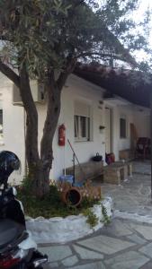 Anemos Studios Skiathos Greece