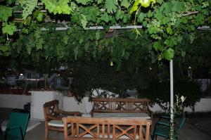 Vicky's Garden Zakynthos Greece