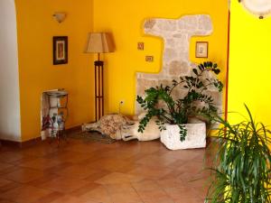 Hotel Villa Barbat