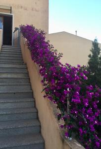 B&B Arcipelago img13