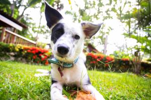 Casa Marcellino Lodge