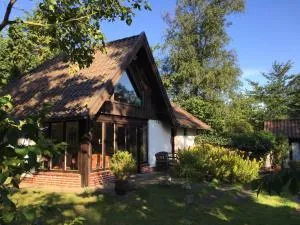 Wattprinzessin - Nebel