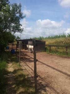 Maisons d'hotes Les anes de petit jean : photos des chambres