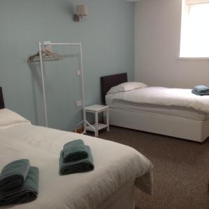 The Bear On The Square