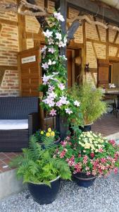 Le Venay photo 18
