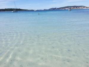 Apartments Palaca Sunca