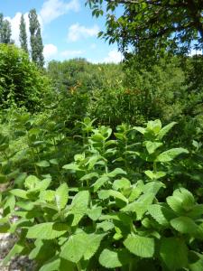 B&B / Chambres d'hotes Le Moulin de Cors : photos des chambres