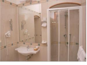 Single Room room in Hotel Adria