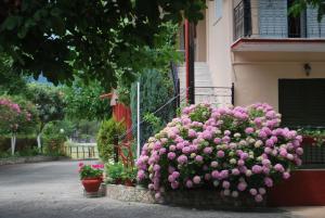 Apartments Stilos Ioannis Pieria Greece