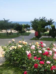 Sea View Panorama apartment on complex with pools and beach, Sveti Vlas
